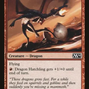 Dragon Hatchling