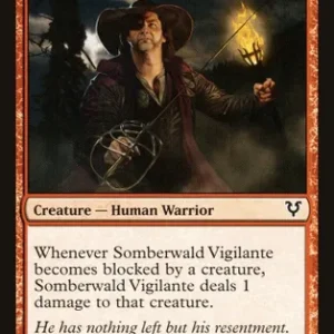 Somberwald Vigilante