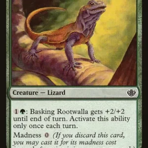 Basking Rootwalla