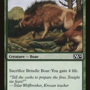 Brindle Boar