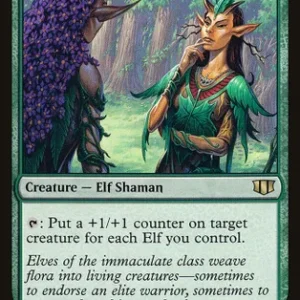 Immaculate Magistrate