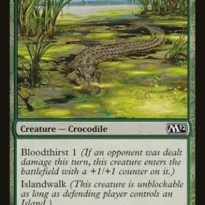 Lurking Crocodile