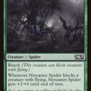 Netcaster Spider