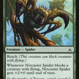 Netcaster Spider