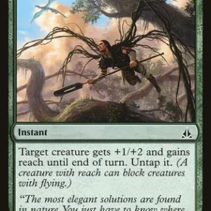 Vines of the recluse