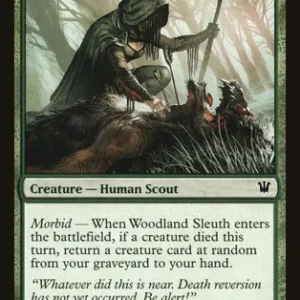Woodland Sleuth