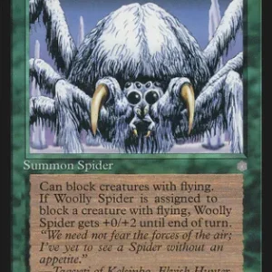 Woolly Spider