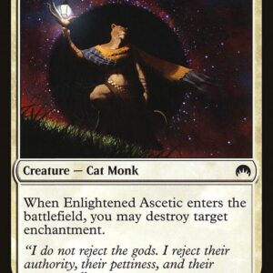 Enlightened Ascetic