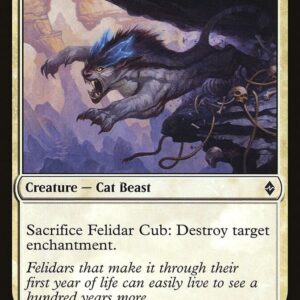 Felidar Cub