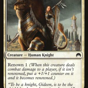 Knight of the Pilgrim's Road