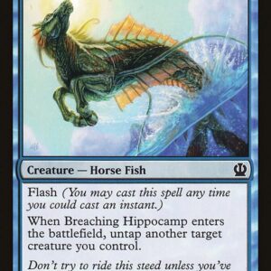 Breaching Hippocamp