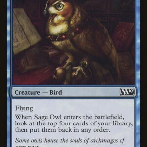 Sage Owl