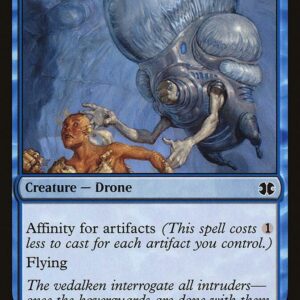 Somber Hoverguard