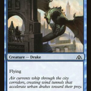 Wind Drake