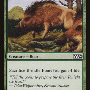Brindle Boar