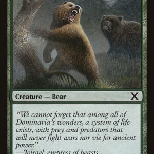 Grizzly Bears