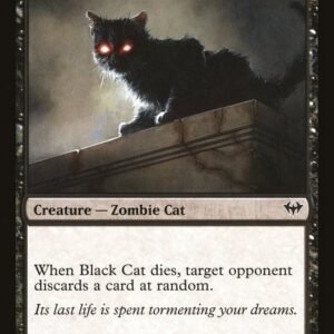 Black Cat