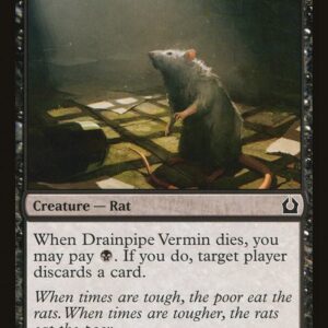 Drainpipe Vermin