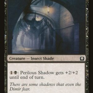 Perilous Shadow