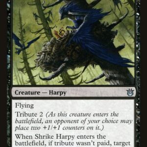 Shrike Harpy