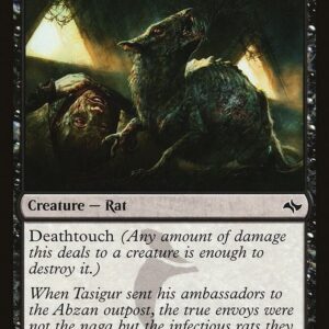 Typhoid Rats