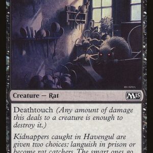 Typhoid Rats